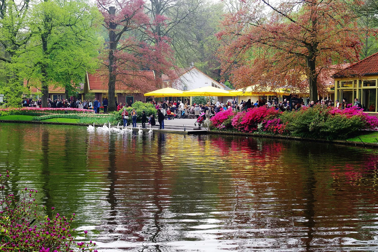 Keukenhof Eintritt: Lohnt sich der Ticketkauf wirklich?