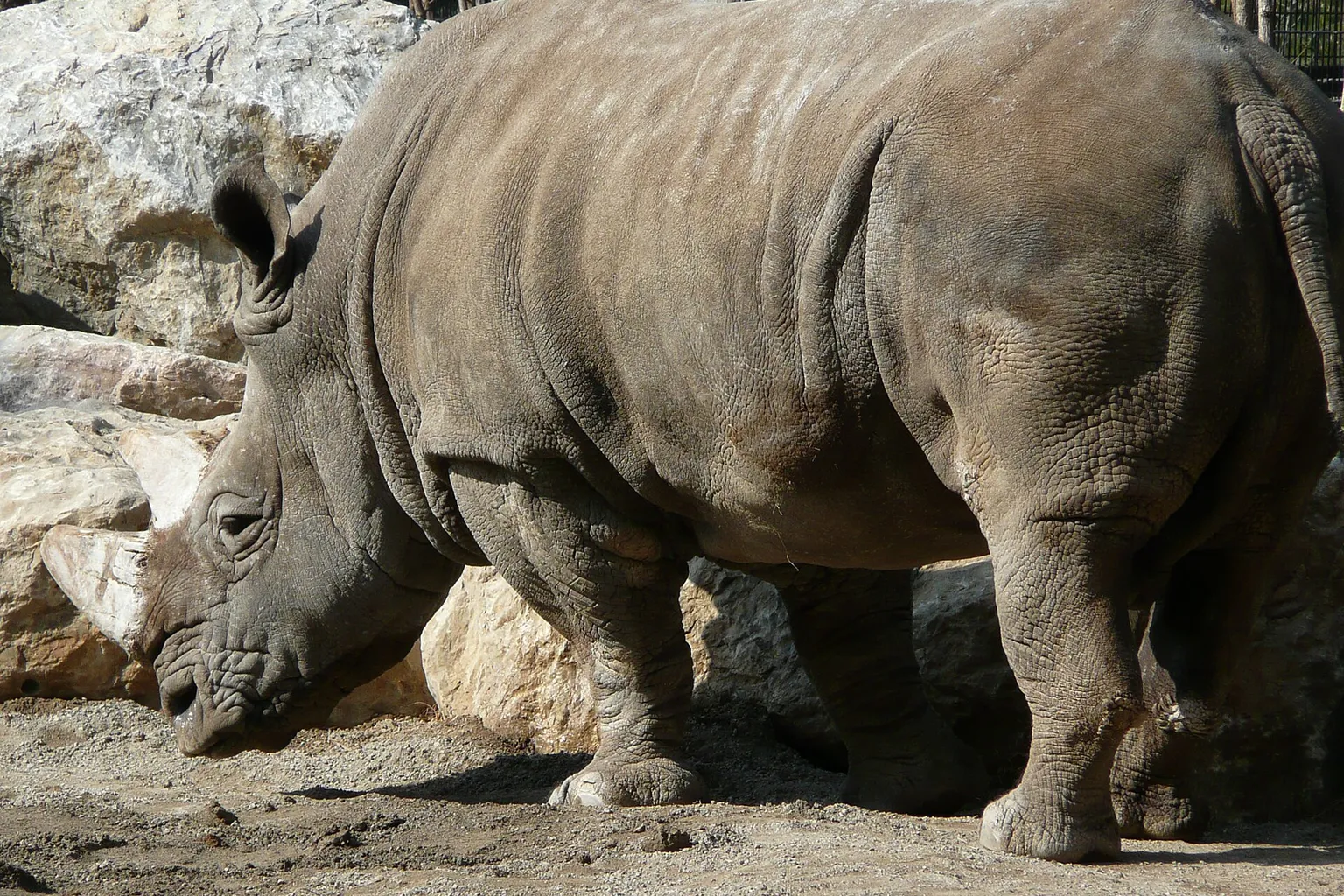 Zoom Torino Tickets: Der Weg zur passenden Buchung